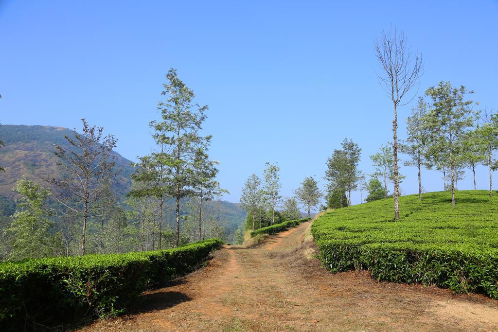 Pavithram Homestay Munnar Extérieur photo