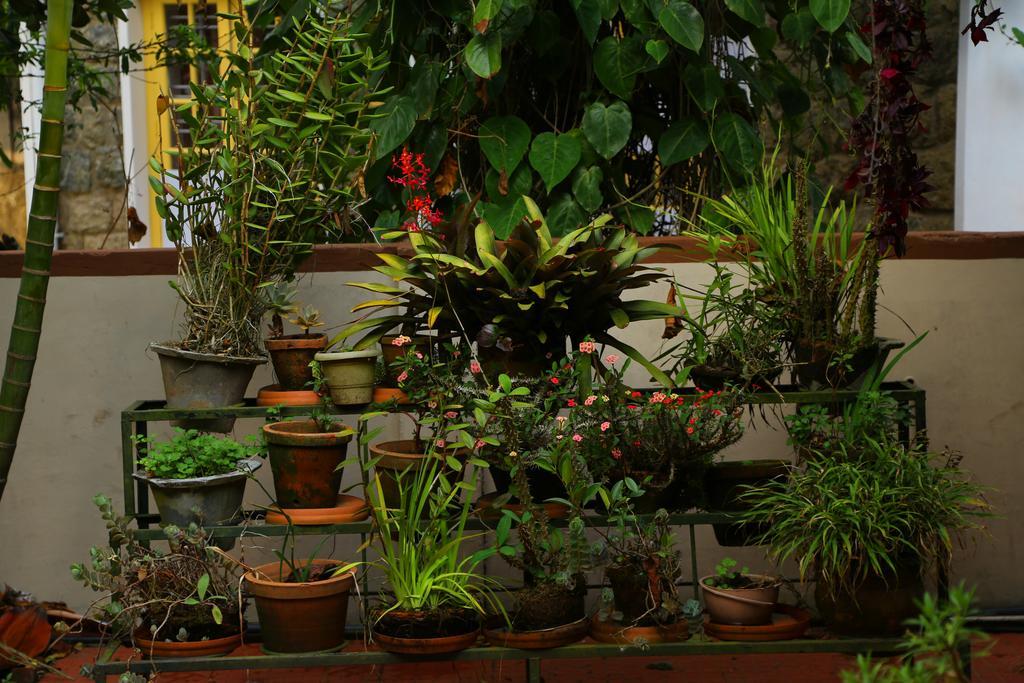 Pavithram Homestay Munnar Extérieur photo